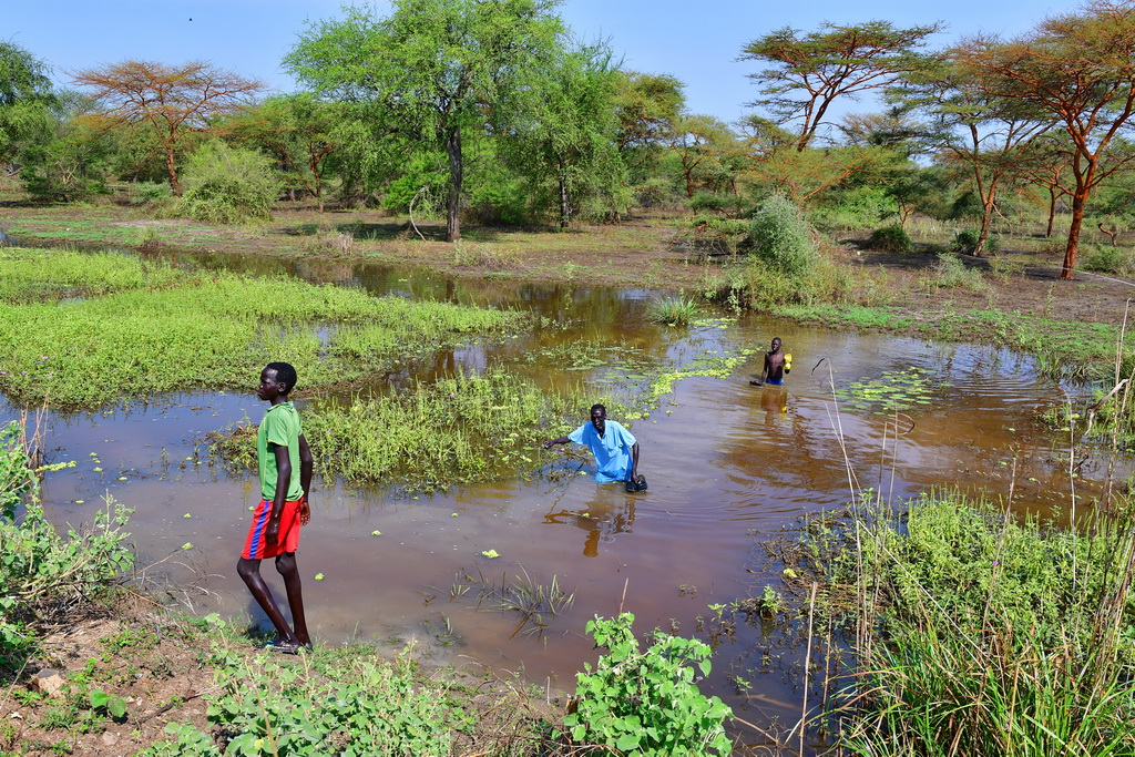 Nuer nomads (Gambela)